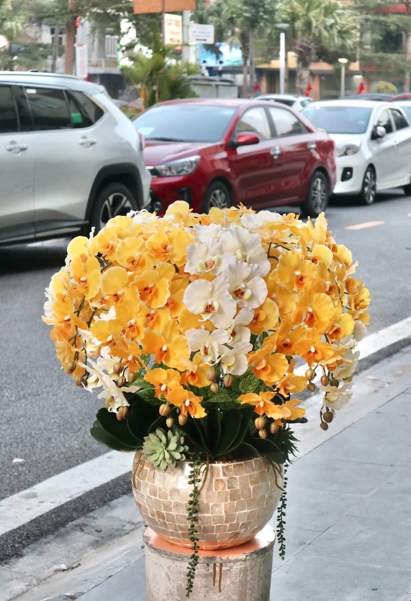 Trang trí màn hình bằng Hình nền cây cảnh tết