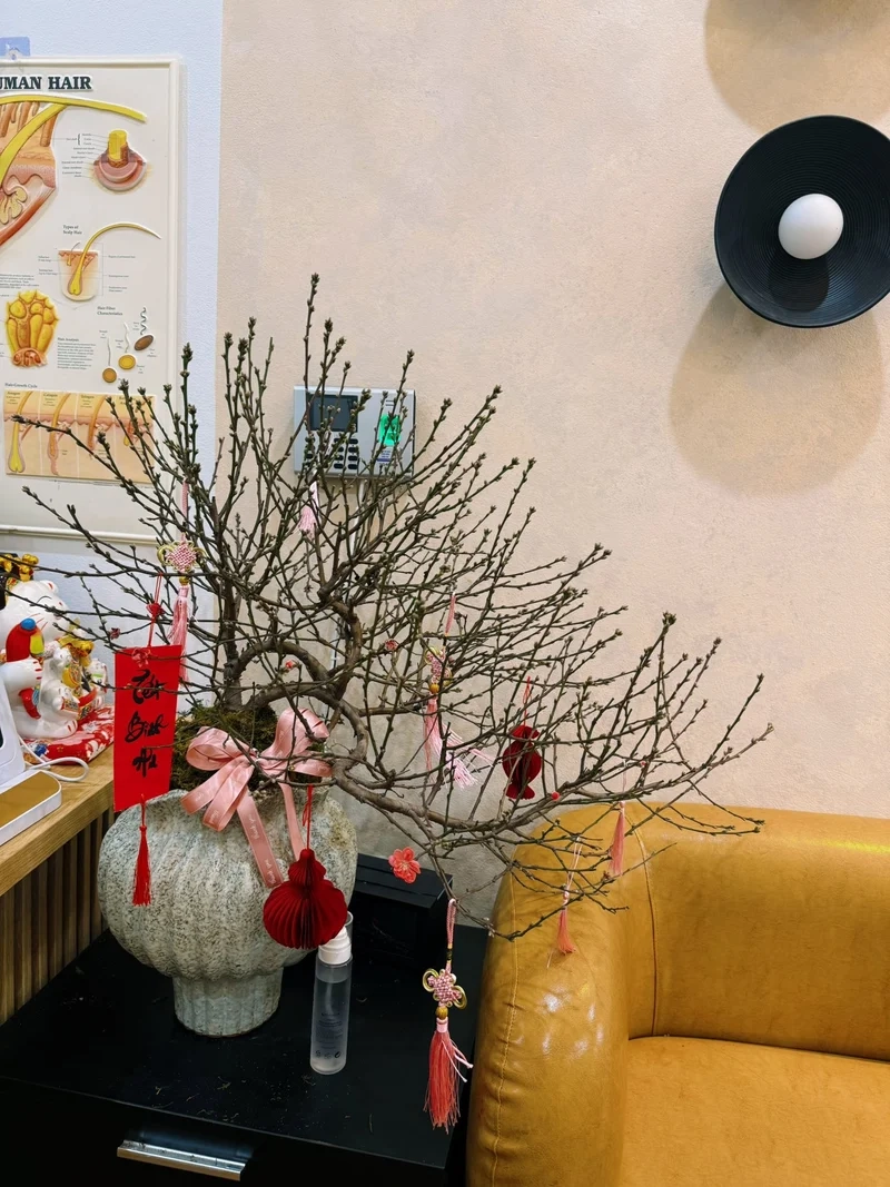 Lưu ngay Hình nền hoa tết cho mùa xuân trọn vẹn