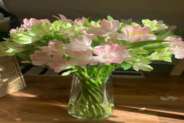 Chiêm ngưỡng 66+ hình nền hoa thủy tiên đẹp hút ánh nhìn