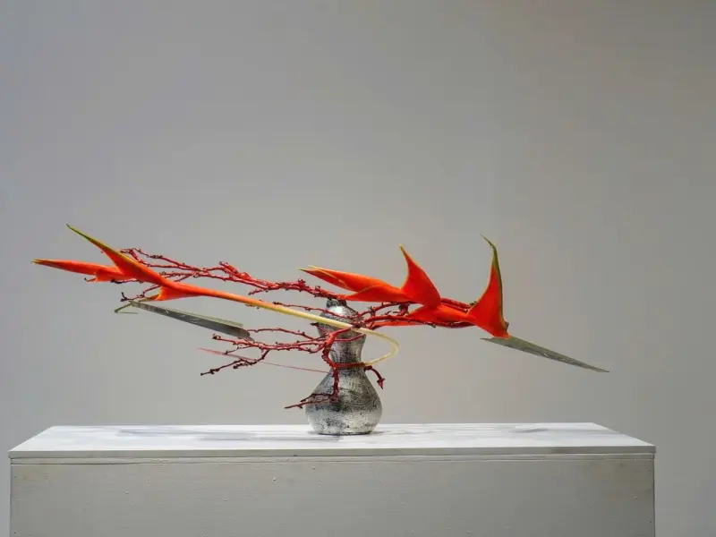 85+ hình nền cây cảnh tết 4K cực nét đón lộc xuân 2026