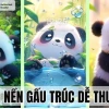 Hình nền điện thoại gấu trúc: Tuyển tập ảnh dễ thương cho năm 2026