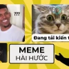Hình nền điện thoại meme hài hước: Tuyển tập ảnh cực chất 2026
