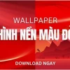 Khám phá hình nền màu đỏ đô ấn tượng cho điện thoại và máy tính 2026