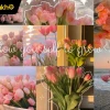Khám phá vẻ đẹp huyền bí với hình nền hoa tulip tím cho năm 2026
