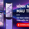 Khám phá vẻ đẹp tinh tế: Hình nền hoa màu tím đầy mê hoặc