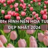 Khám phá vẻ đẹp 'xanh' của hoa tulip qua bộ sưu tập hình nền độc đáo