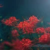 Mãn nhãn với bộ sưu tập hình nền hoa bỉ ngạn 4K sắc nét