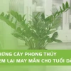 Tuổi Giáp Dần 1974 Trồng Cây Gì Hợp Phong Thủy Năm 2026?