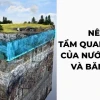 Tác động của băng hà đối với hệ sinh thái và khí hậu toàn cầu năm 2026