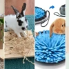 Best enrichment toys for pet rabbits to improve health in 2026