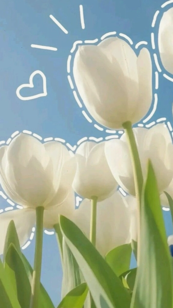 Bó hoa tulip tím đậm rực rỡ, thu hút ánh nhìn