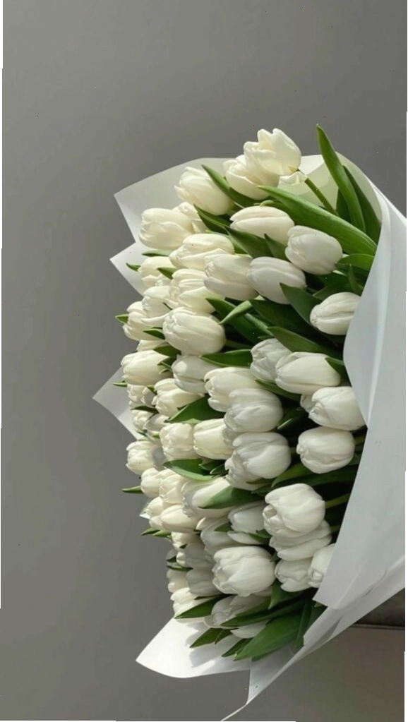 Bó hoa tulip xanh thẫm được gói ghém cẩn thận
