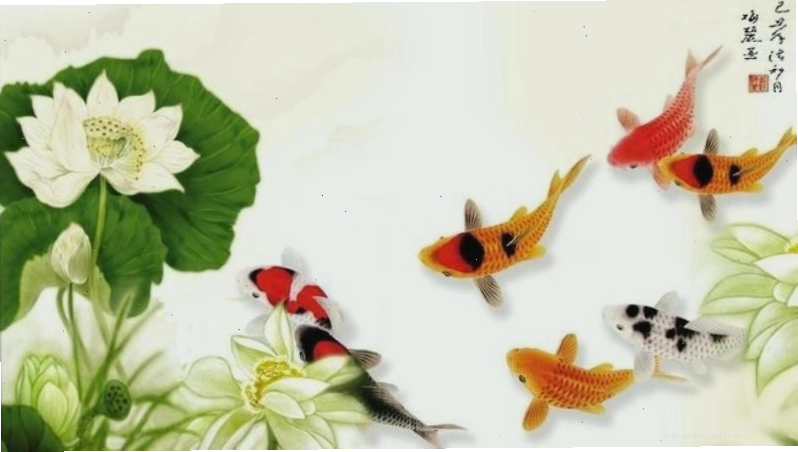 Cá chép hóa rồng bay lên