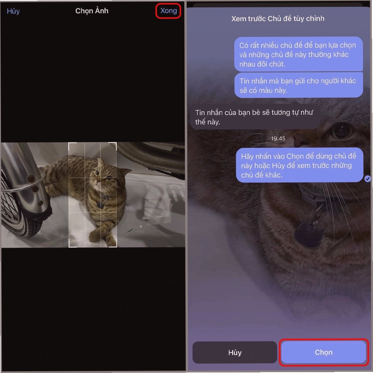 Căn chỉnh ảnh và áp dụng làm nền Messenger