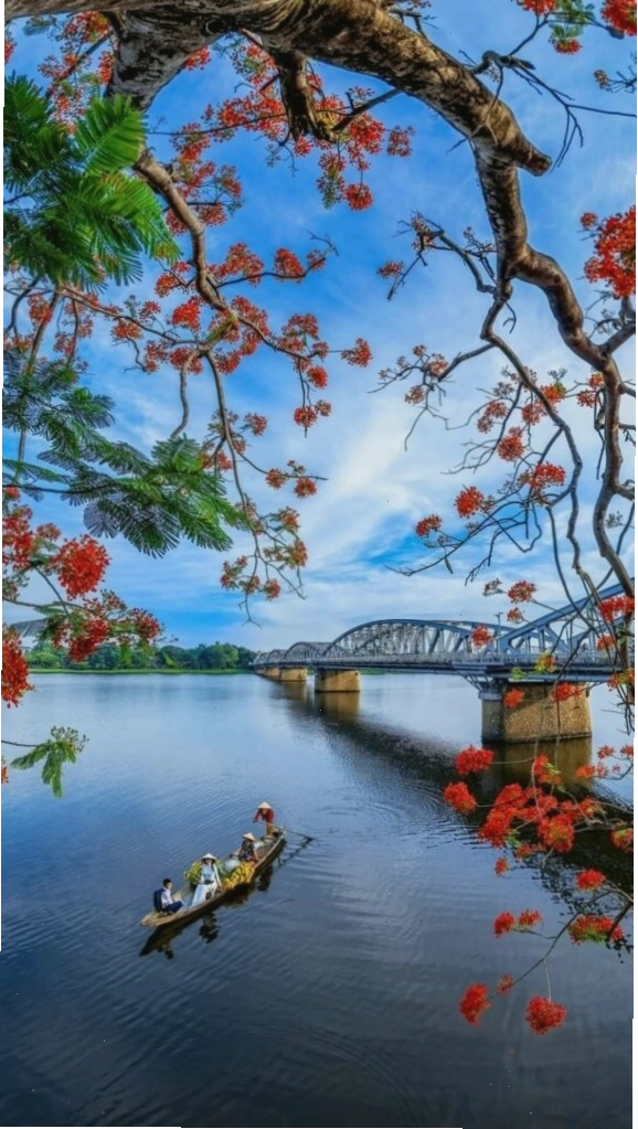 Cành hoa đỏ bên mặt hồ sông Hương tĩnh lặng chiều thu