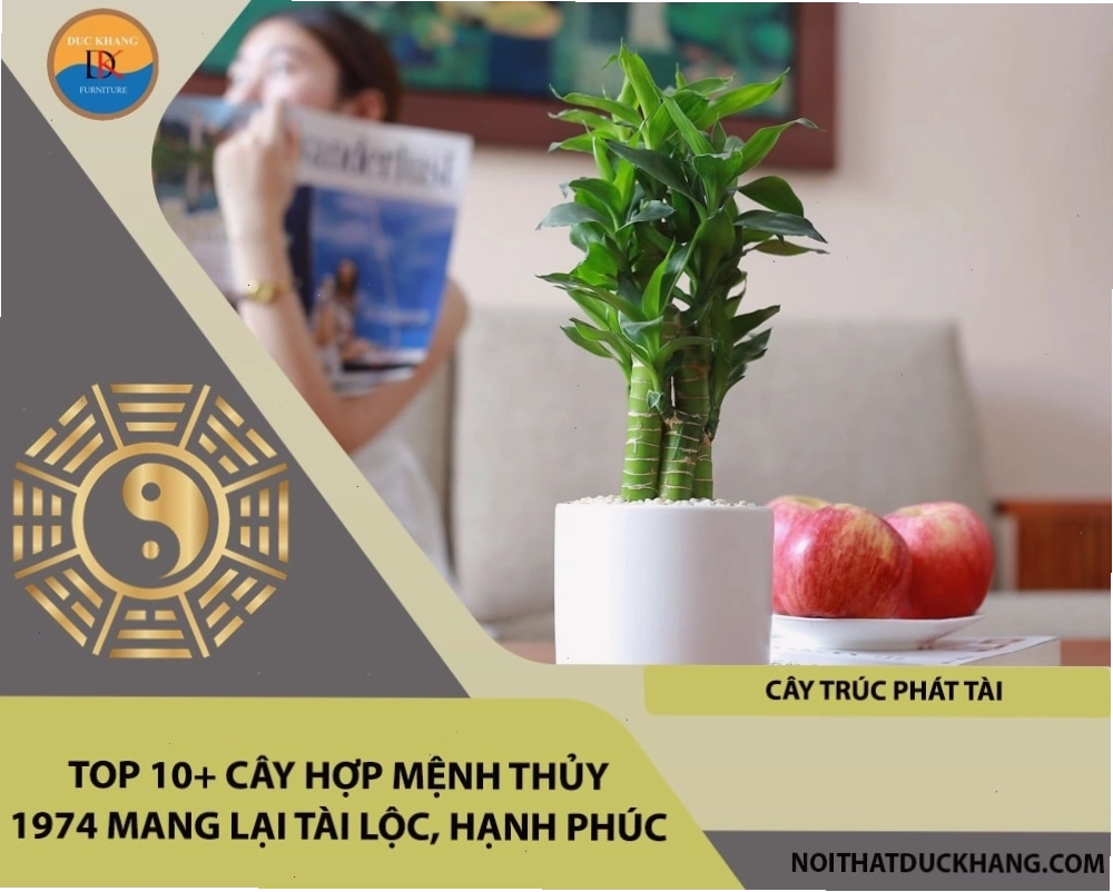 Cây hợp mệnh Thủy 1974 mang lại tài lộc và hạnh phúc