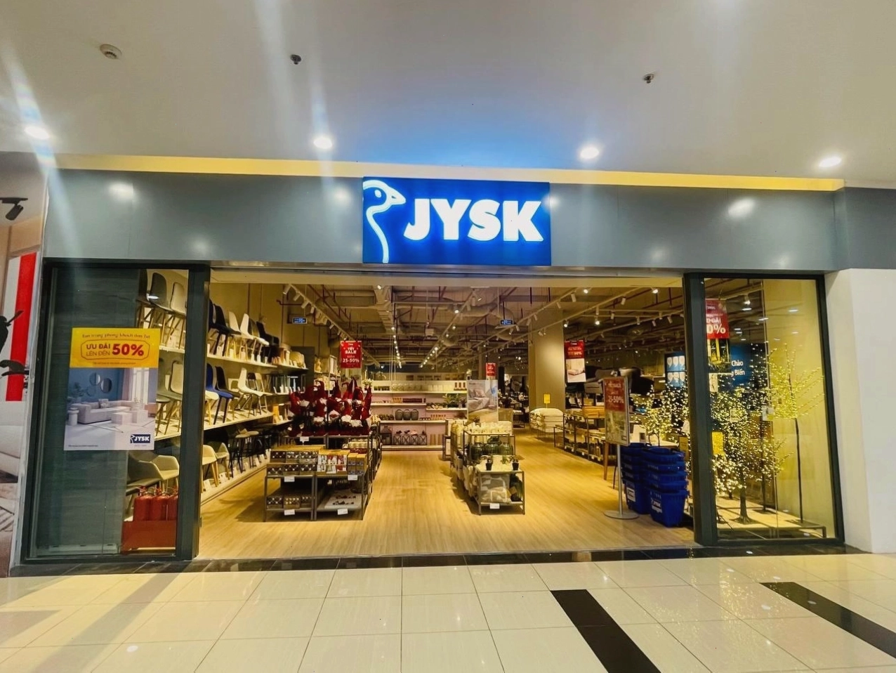 Cây kim ngân được bài trí tại phòng khách