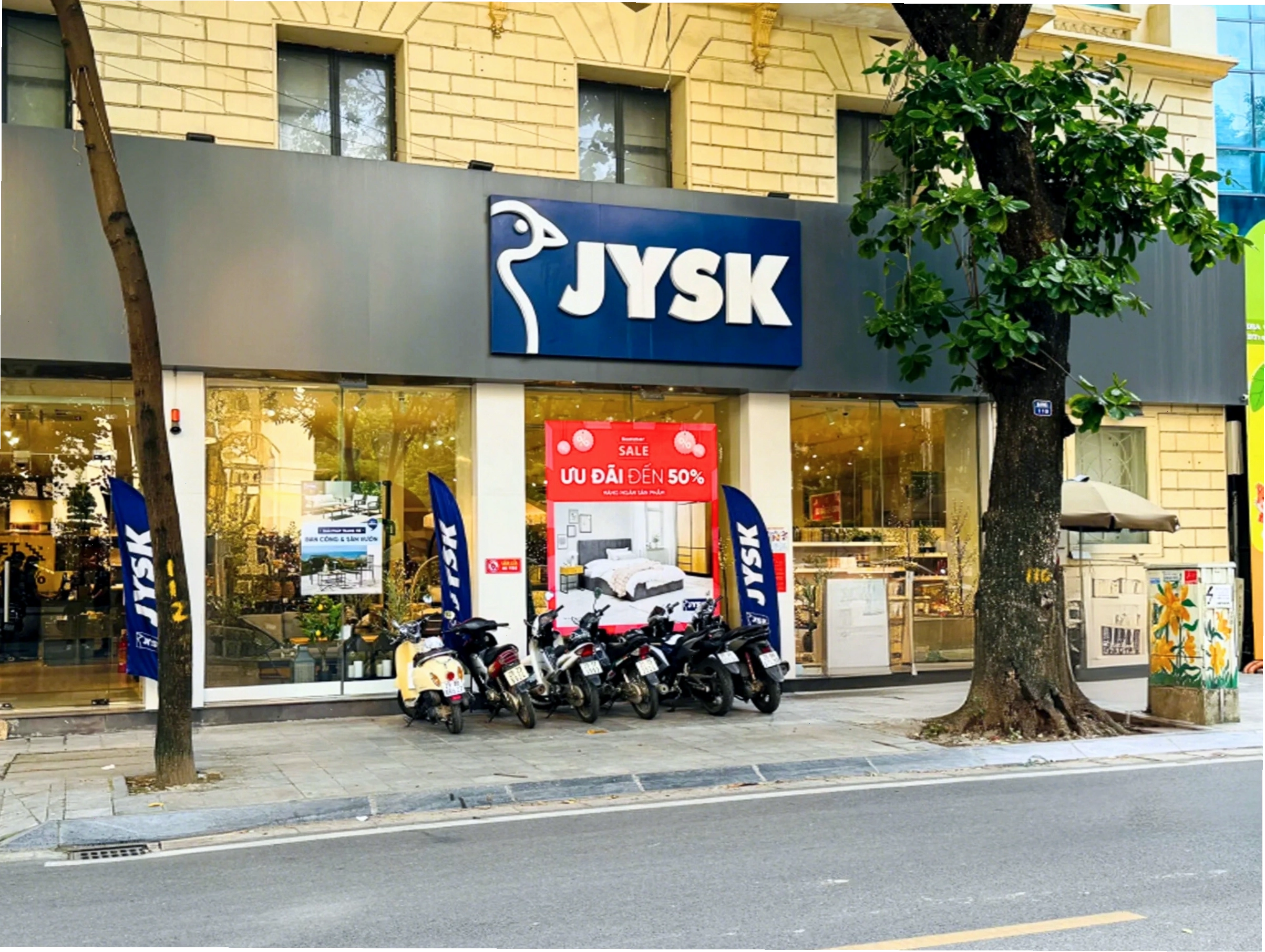 Cây lan ý với hoa trắng tinh khôi mang lại bình an