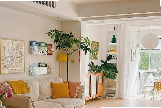 Đặt cây kim tiền ở phòng khách để hút tài lộc và làm đẹp không gian