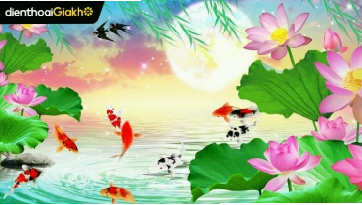 Hình nền cá chép hóa rồng với màu sắc rực rỡ