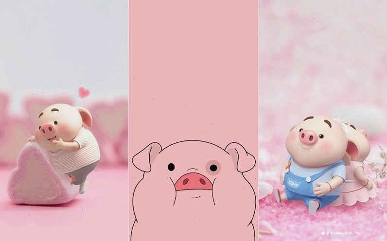 Hình nền con heo cute đang ngủ say sưa trên gối mềm