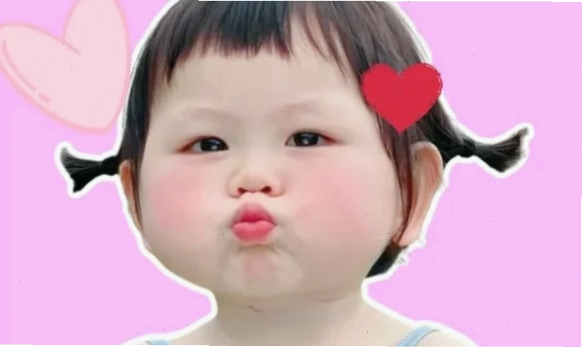 Hình nền điện thoại meme mèo cute, đáng yêu