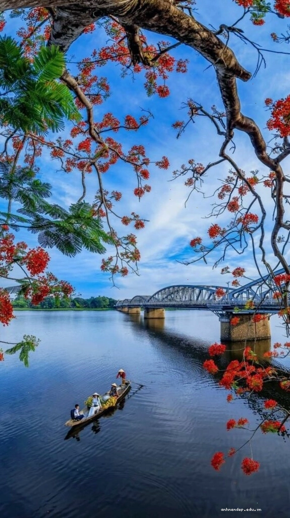 Hình nền điện thoại phong cảnh cành hoa đỏ bên mặt hồ sông Hương tĩnh lặng