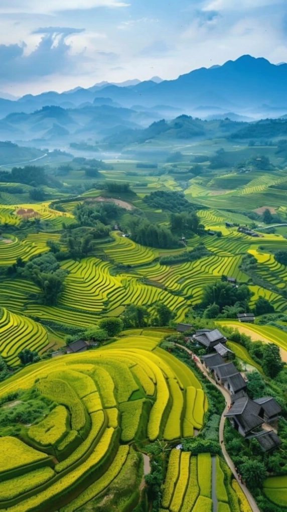 Hình nền điện thoại phong cảnh ruộng bậc thang xanh mướt giữa núi rừng