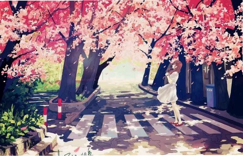 Hình nền hoa anh đào rơi ấn tượng với gam màu trầm ấm