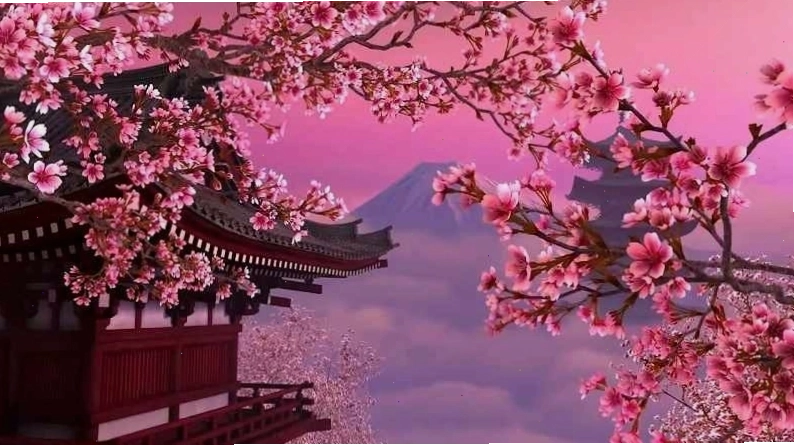 Hình nền hoa anh đào rơi anime phong cách nghệ thuật