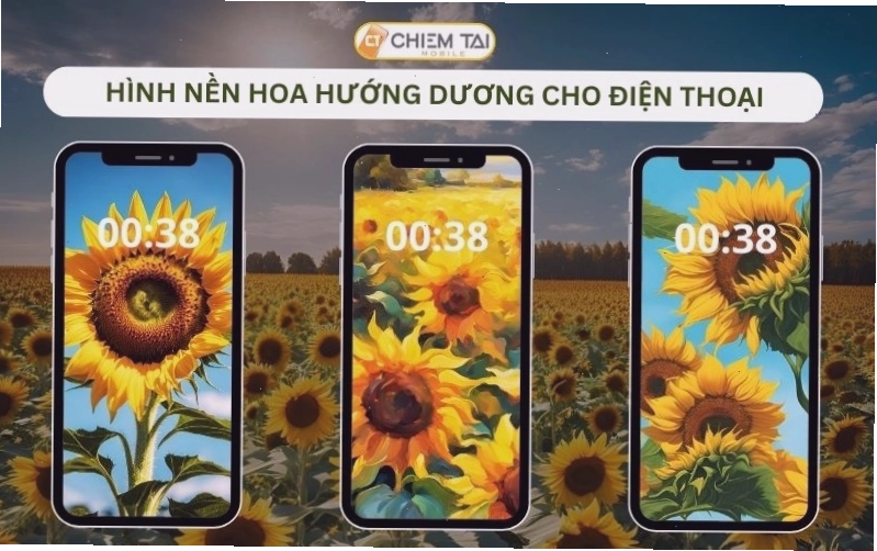 Hình nền hoa hướng dương cute cho điện thoại