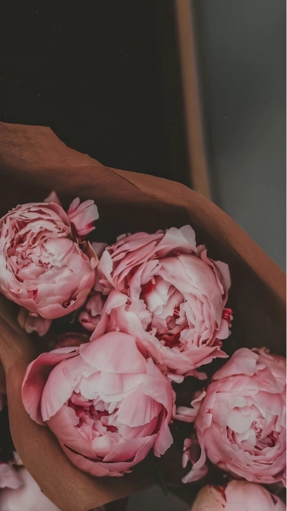 Hình nền hoa mẫu đơn 3D màu hồng theo phong cách vintage, nhẹ nhàng và hoài cổ