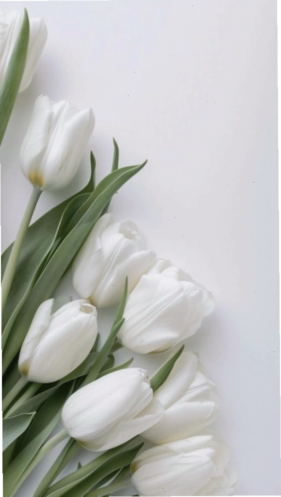 Hình nền hoa tulip màu hồng pastel dịu dàng, tạo cảm giác chill