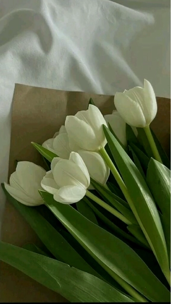 Hình nền hoa tulip với phong cách vẽ màu nước mỏng manh