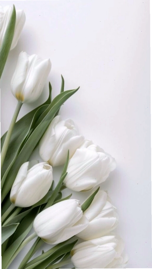 Hình nền hoa tulip xanh dương dịu mát, mang lại cảm giác thư thái