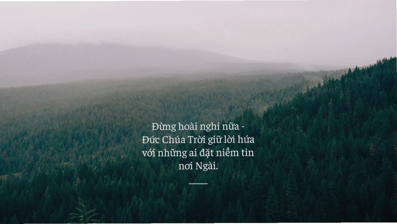 Hình nền máy tính Thiên chúa giáo thanh lịch, trích dẫn màu xanh lá, đen và trắng