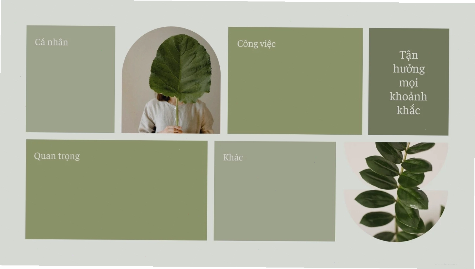 Hình nền máy tính với chủ đề lá cây xanh