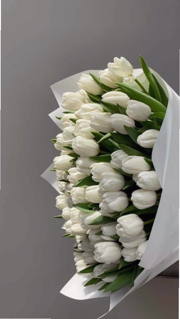 Hoa tulip tím và trắng xen kẽ tạo nên sự hài hòa