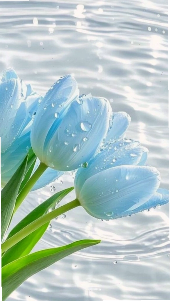 Hoa tulip xanh biếc nổi bật trên nền nước trong veo, mang đến cảm giác tươi mát và thư thái