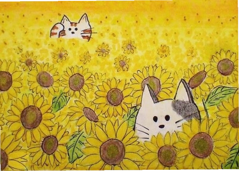Nhân vật anime đang ngắm nhìn những bông hoa hướng dương