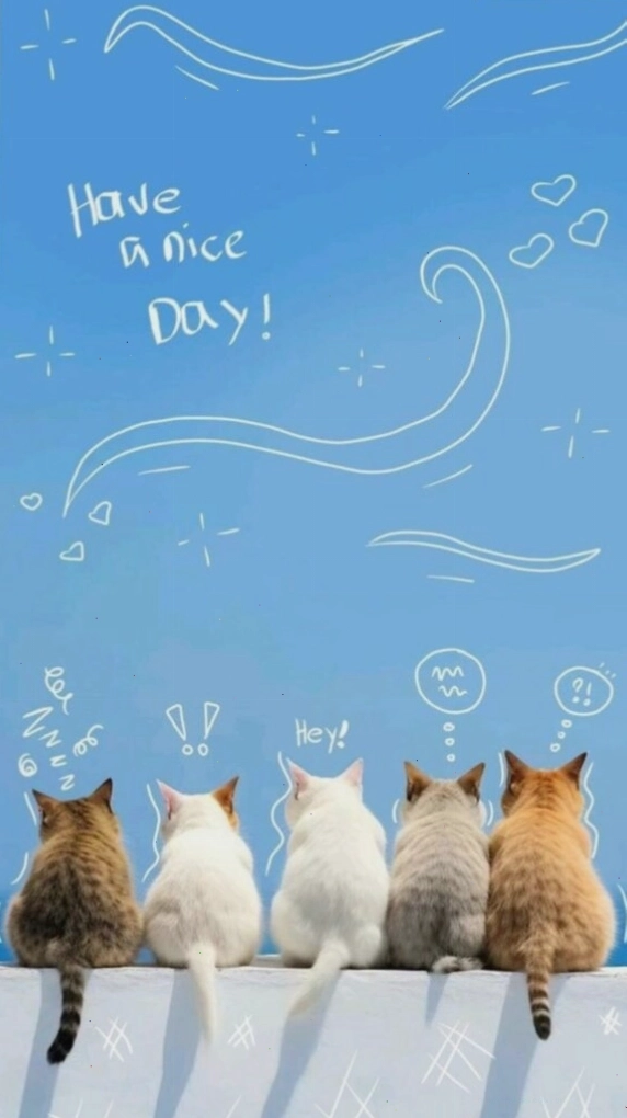 Những chú mèo vui vẻ trong ngày nắng đẹp