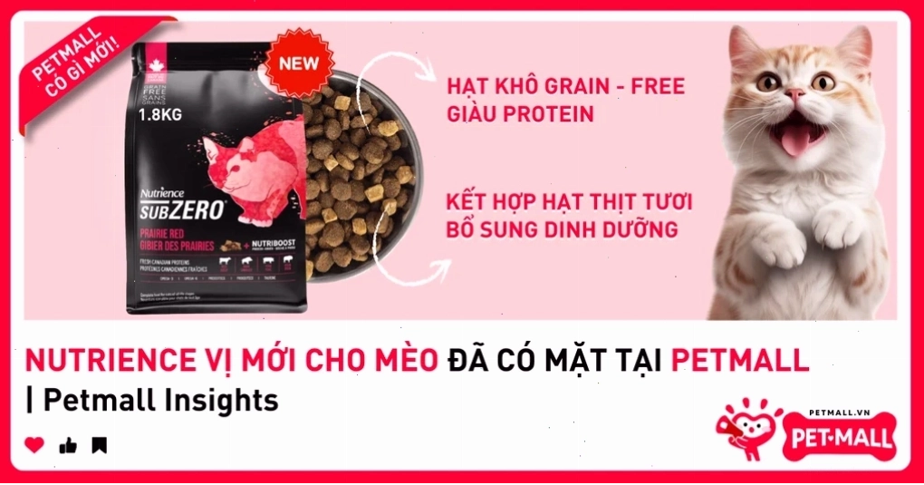Thức ăn hạt Nutrience với công thức dinh dưỡng mới