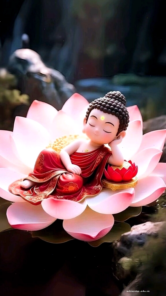 Tiểu hòa thượng ngủ yên bình trên đài sen