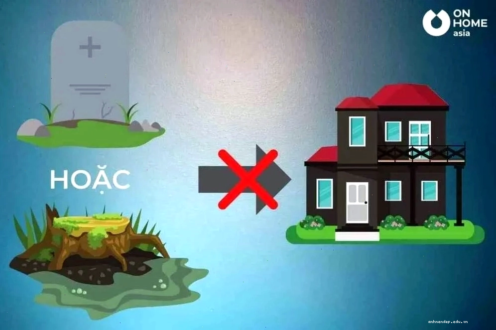 Tránh chọn vùng đất nghĩa địa hoặc đầm lầy để xây nhà