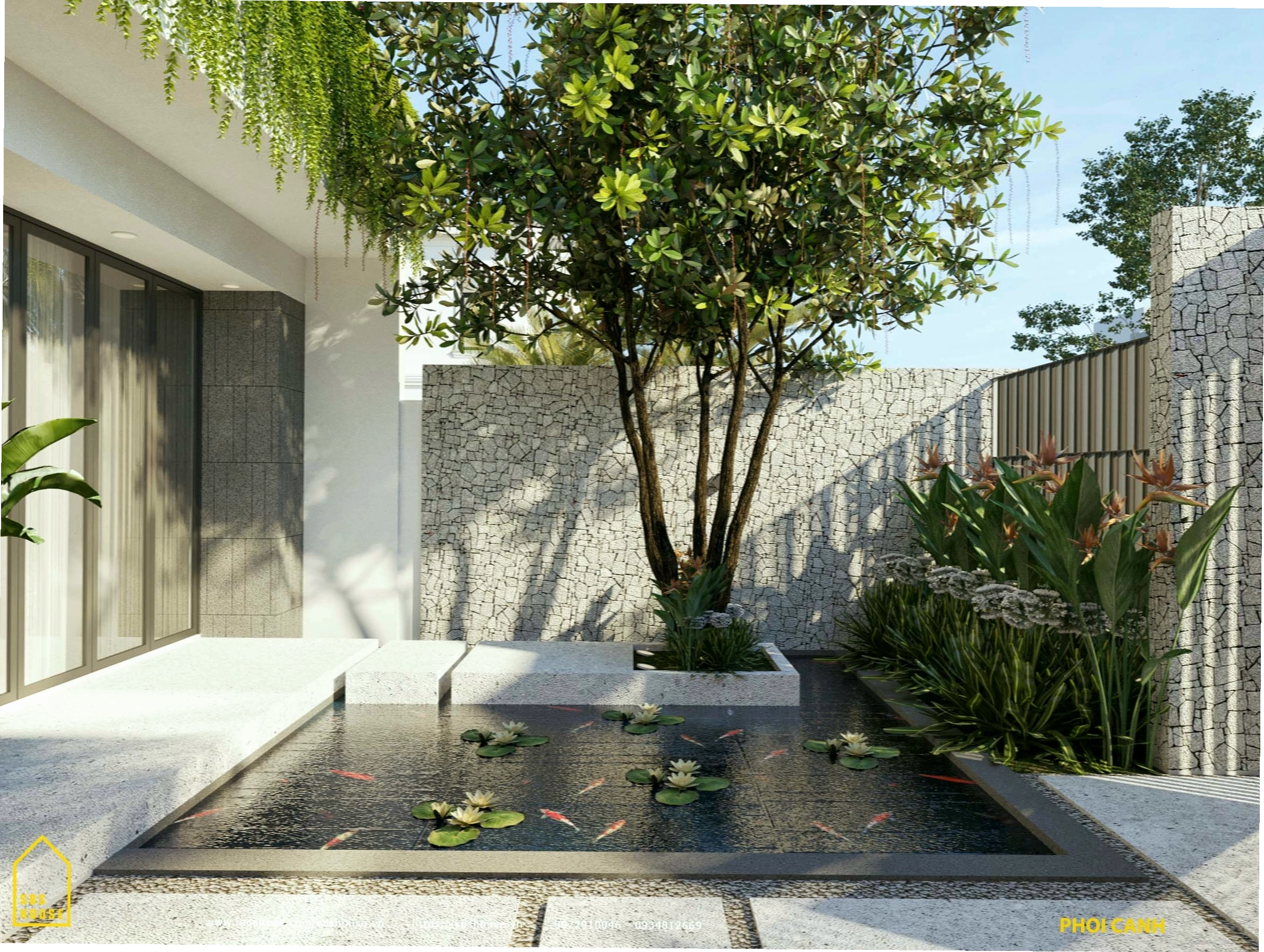Trồng cây Lộc vừng trước nhà hút tài lộc