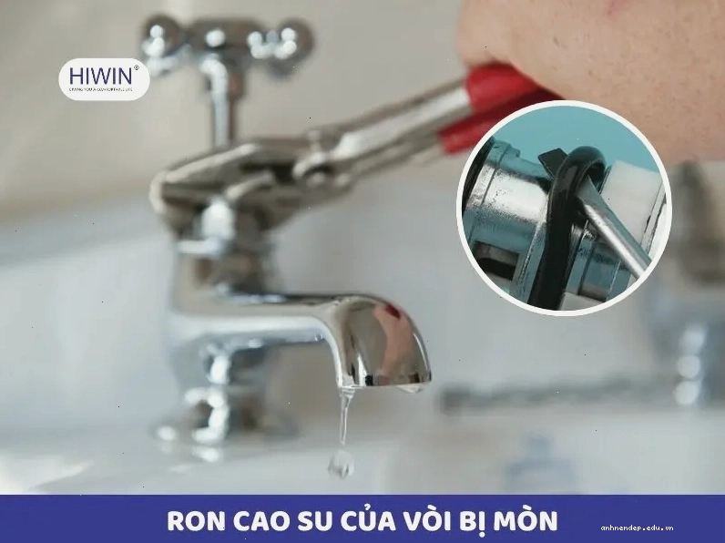 Ron cao su của vòi bị mòn khiến nước bị rò rỉ