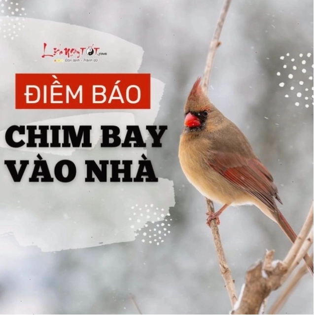 Tác động của băng hà đến nguồn nước ngọt trên thế giới