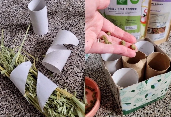 Toilet paper rolls modified into treat dispensers for rabbits