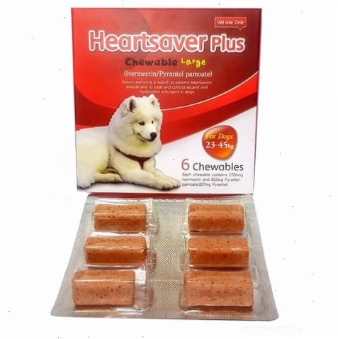 Các loại thuốc và thực phẩm chức năng hỗ trợ điều trị giun tim