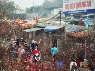 45+ ảnh chợ hoa tết rực rỡ sắc màu đón xuân mới
